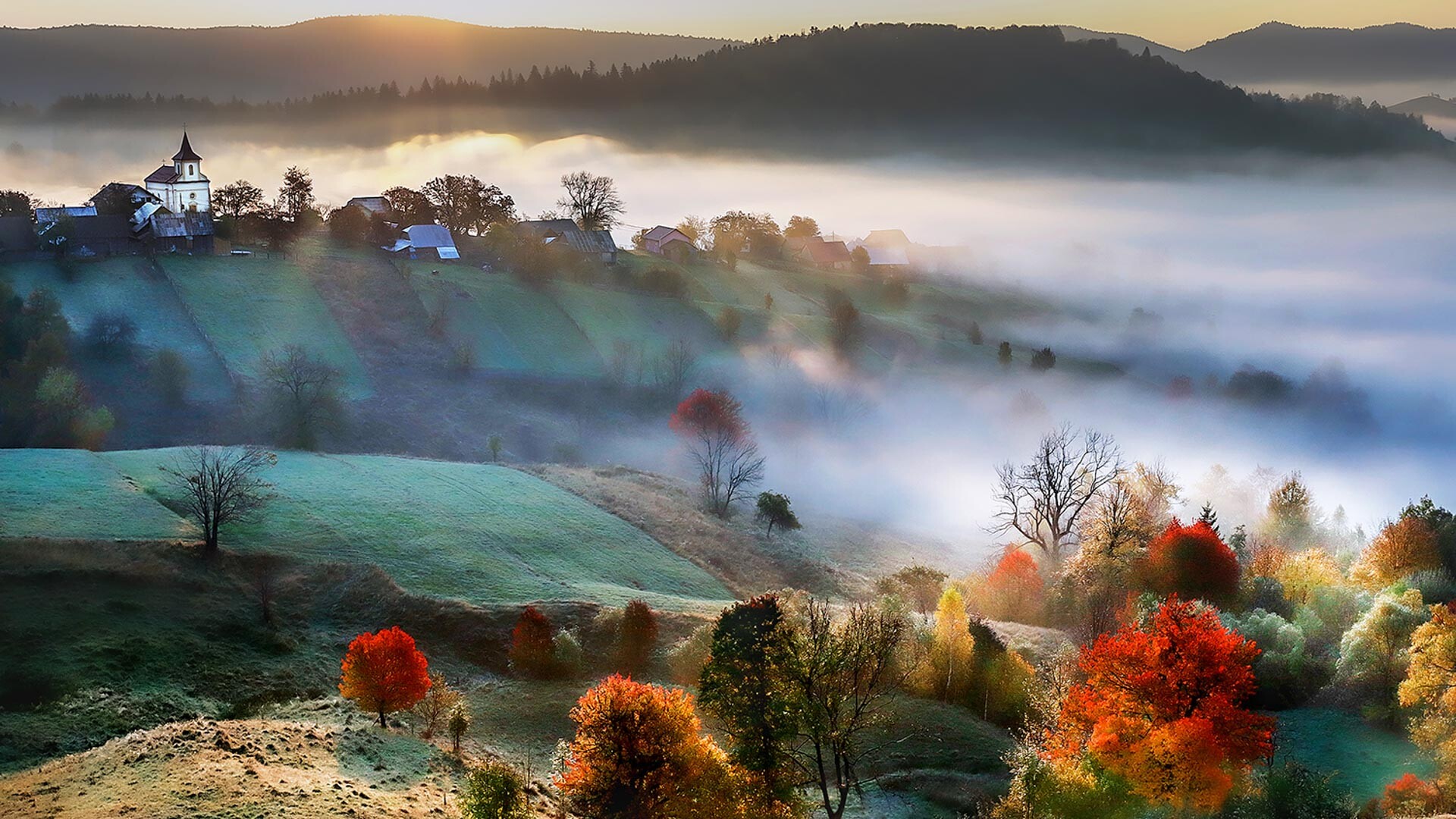 Bucovina, Plesa