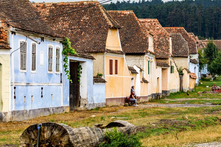 Viscri Houses