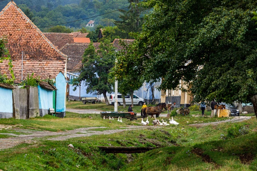 Viscri Village